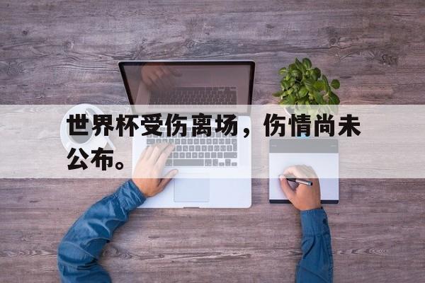 九游游戏中心官网注册账号-世界杯受伤离场，伤情尚未公布。