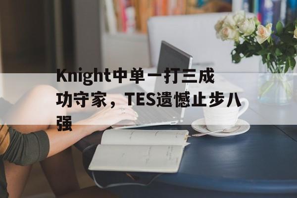 九游网官方网站入口-Knight中单一打三成功守家，TES遗憾止步八强