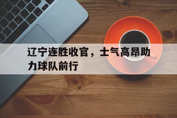 九游网官方网站入口-辽宁连胜收官，士气高昂助力球队前行